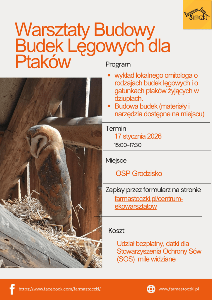 plakat informacyjny, warsztaty styczen